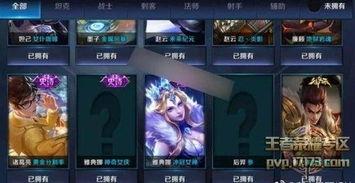 皮肤优化最新爆料有哪些,揭秘最新爆料亮点